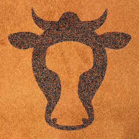 Split Cow